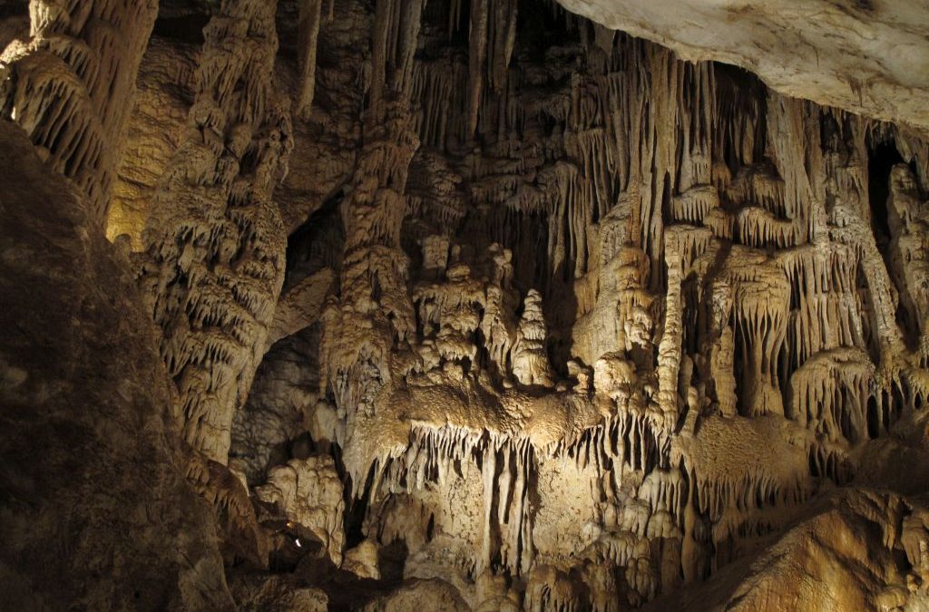 Ecologistas acusa a la Junta de desentenderse de la protección de la Cueva de los Murciélagos en Zuheros
