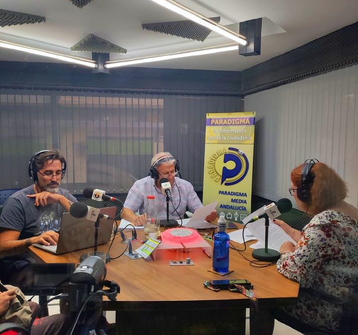 Nuevo en «Los Domingos de Paradigma» (16 de octubre de 2022)