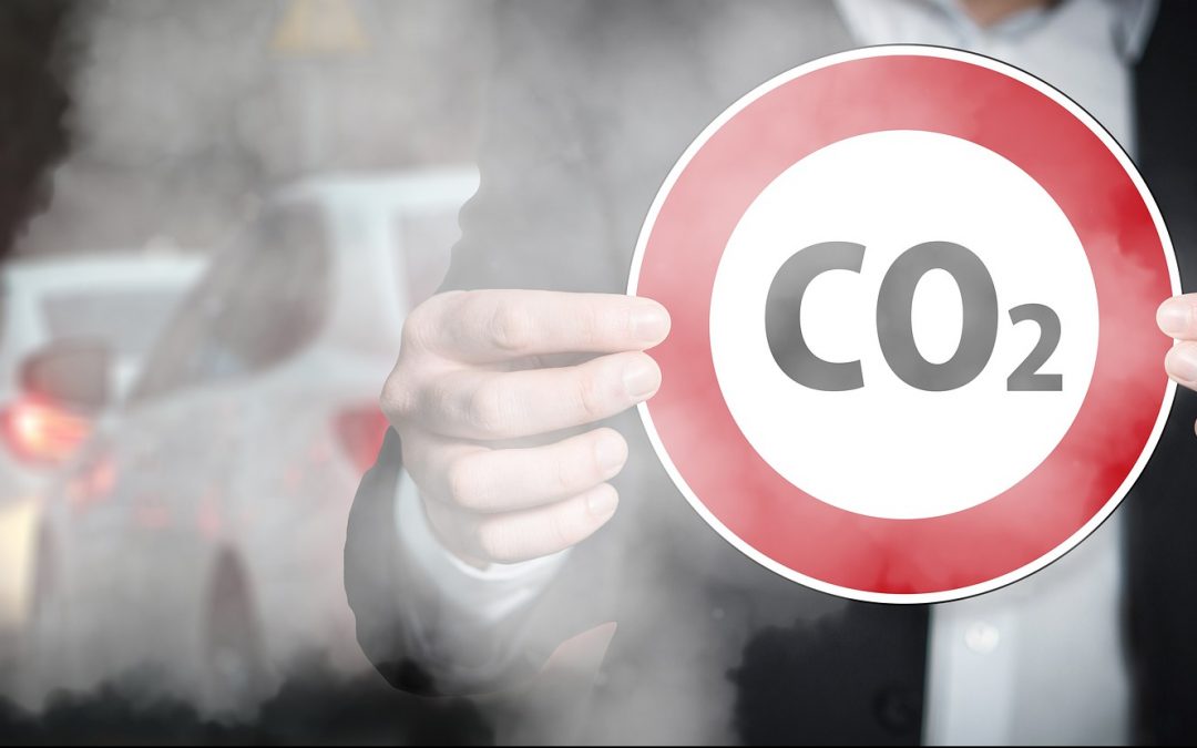 APDHA llama a participar en las movilizaciones con motivo de la cumbre del clima de Egipto