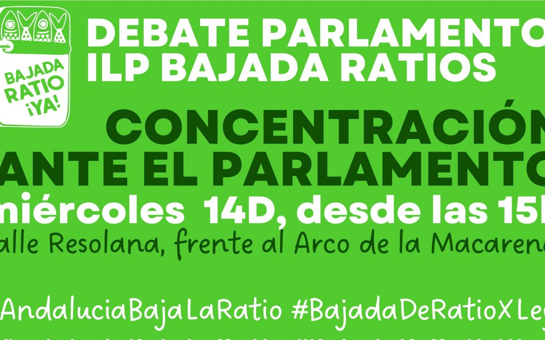 La iniciativa ciudadana por la bajada de las ratios escolares llega a la tribuna del Parlamento Andaluz.