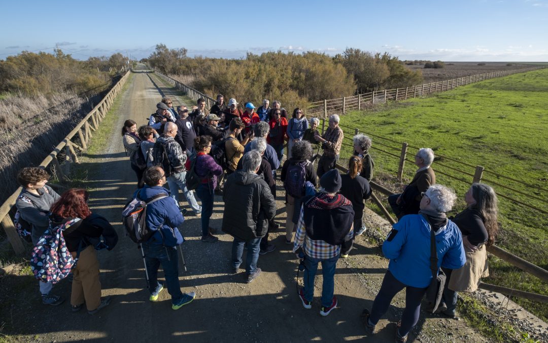 Ecologistas en Acción organiza una visita de reconocimiento a Doñana para conocer su actual estado