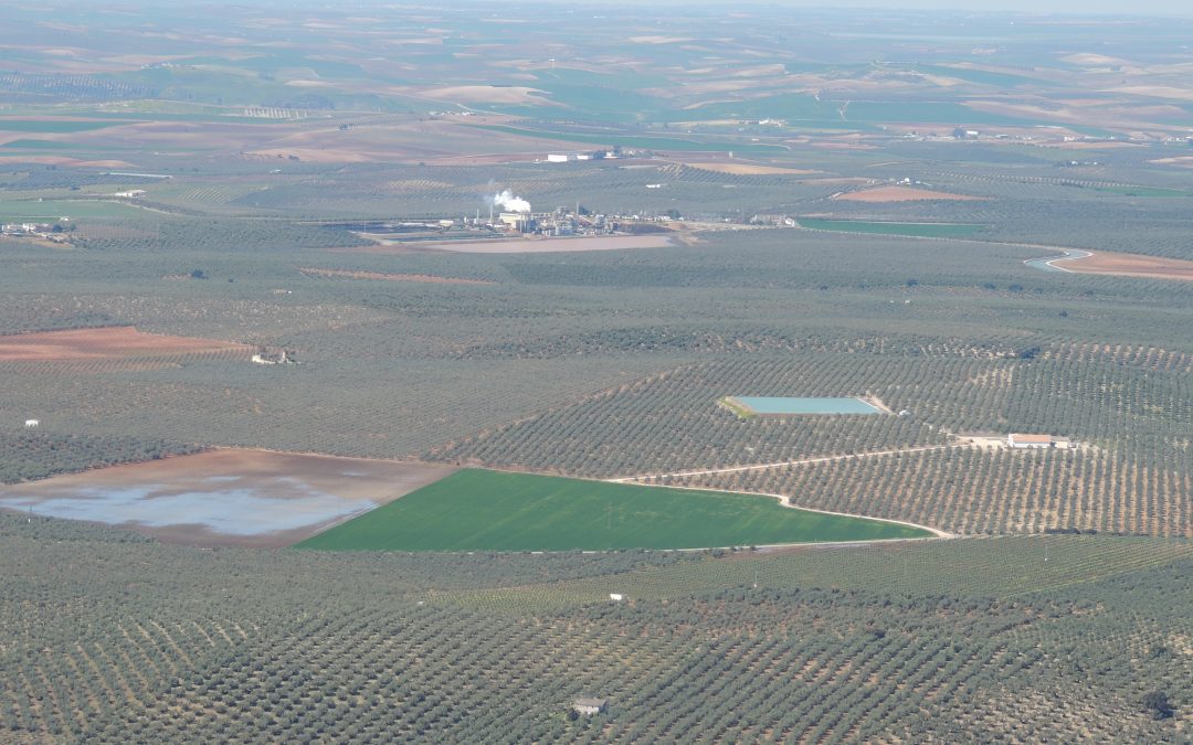 Ecologistas en Acción reivindica la recuperación y protección de los humedales cordobeses desconocidos por la gran mayoría de la población de la provincia