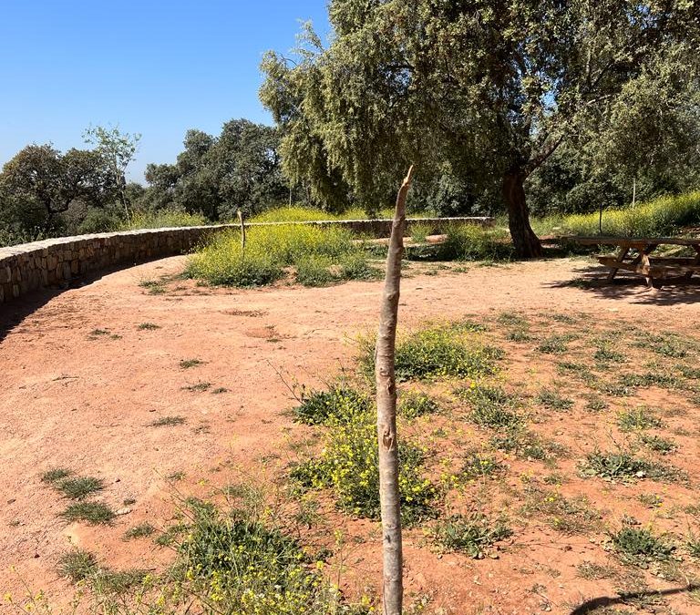 Denuncian el vandalismo y la dejadez sobre el Parque de El Patriarca