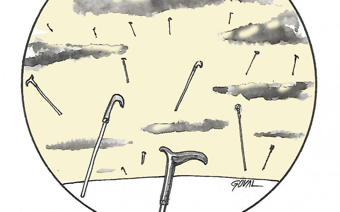 La viñeta de Goval: «Antonio Gala salió de paseo por la eternidad»