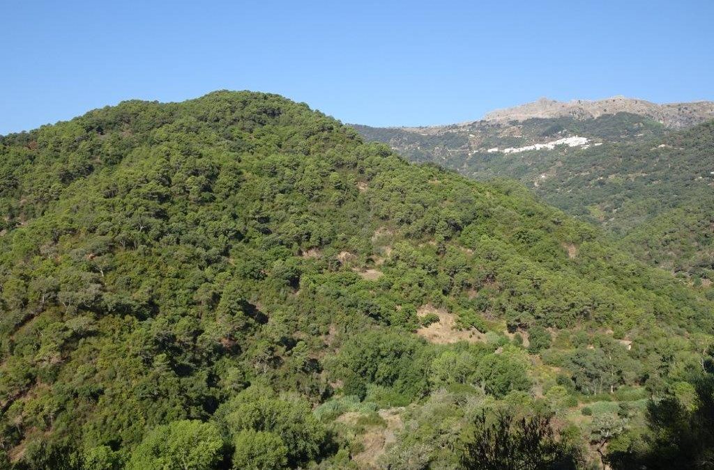 Ecologistas en Acción opina que el paso del INFOCA a la Consejería de Presidencia dificultará la prevención de los incendios forestales