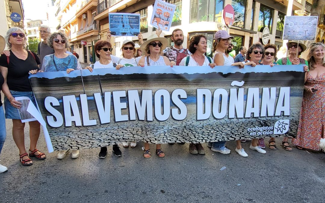 38 colectivos convocan una concentración bajo el lema «Salvemos Doñana»