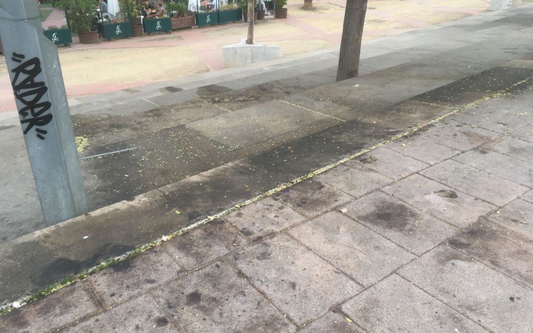 El Consejo del Movimiento Ciudadano denuncia el estado en que ha quedado el paseo de Renfe