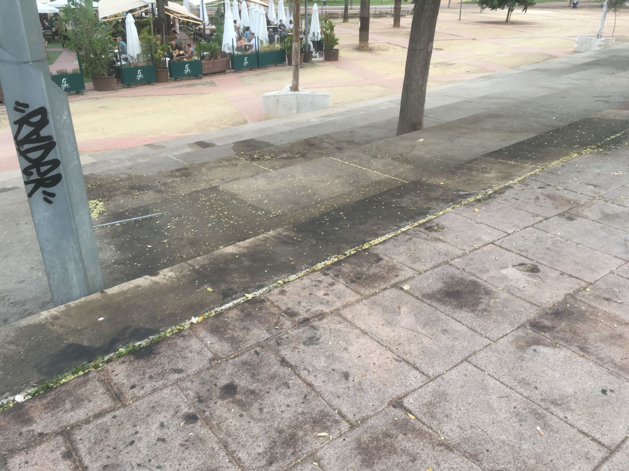 Degradación Vial Norte tras Burguer (12)