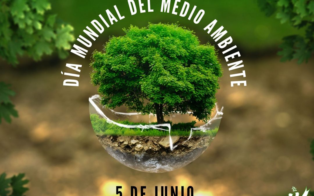 Día del Medio Ambiente: algunas propuestas para el cuidado de los valores naturales.