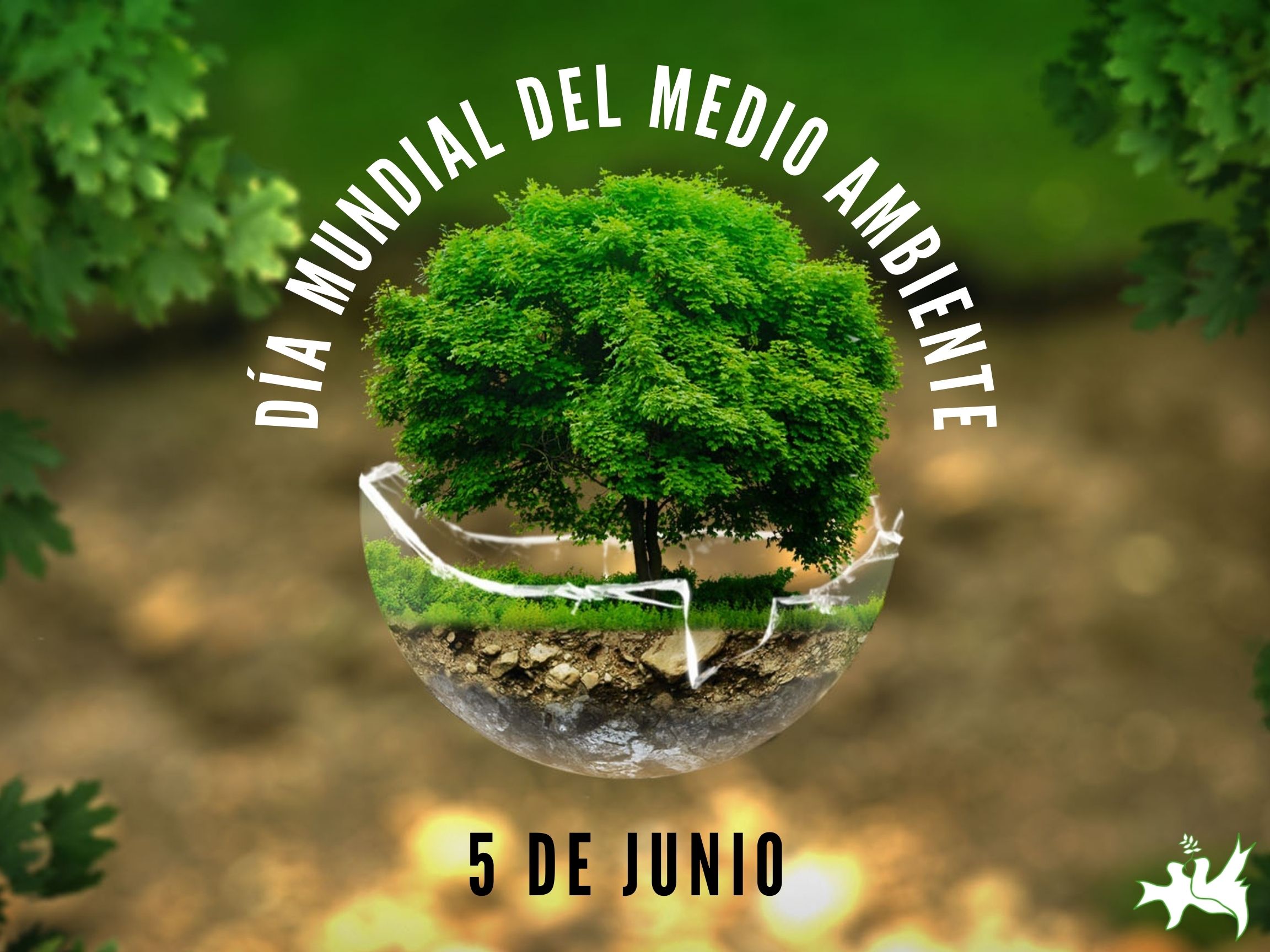 Día-Mundial-del-Medio-Ambiente