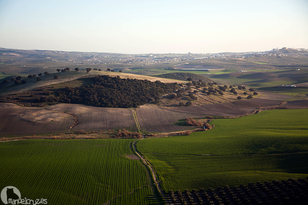 Ecologistas en Acción presenta recurso contra el macroproyecto fotovoltaico en Montemayor