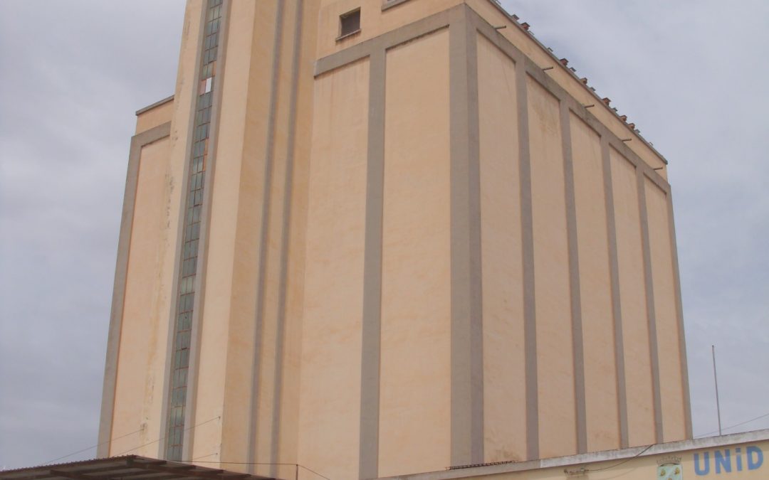 Peligra la colonia de cernícalo primilla del Silo de Baena