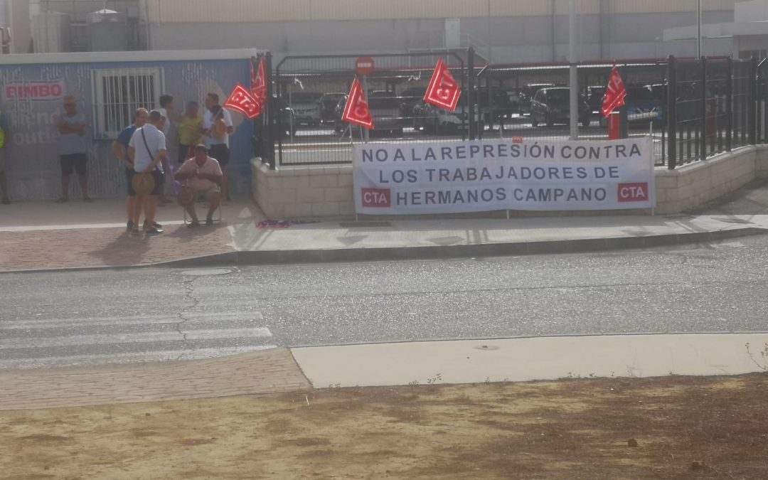 Despiden al delegado de personal y al delegado sindical de C.T.A. de la subcontrata de transportes de Pan Bimbo, Hermanos Campano