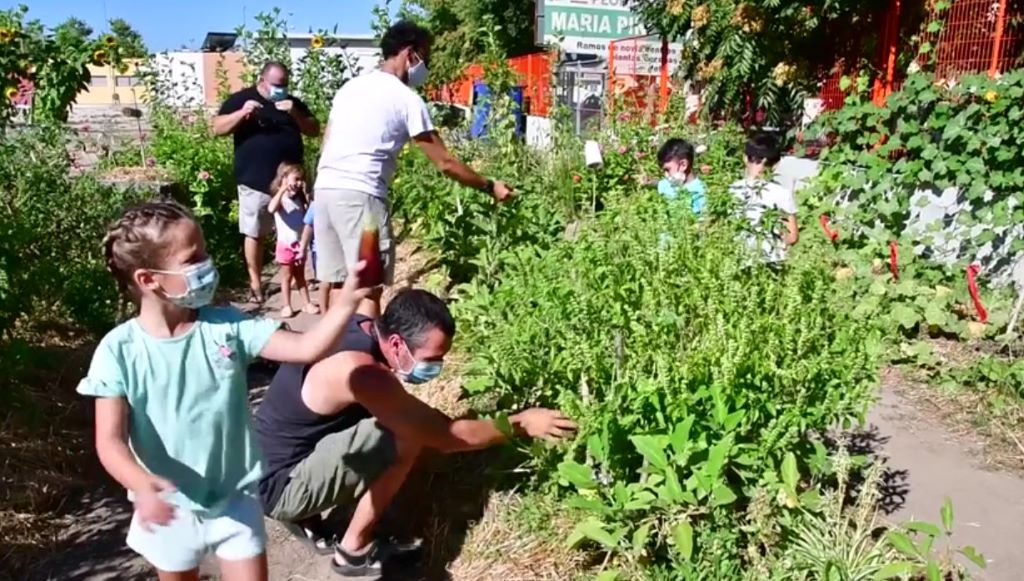 Seleccionadas 26 películas para participar en la Muestra de Cine Social «La Imagen del Sur»