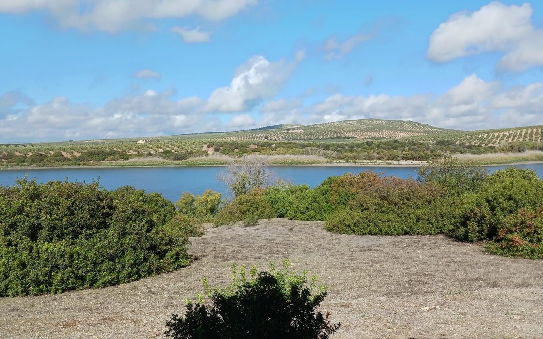 La Junta autoriza, y después revoca, batidas de jabalí en la Reserva Natural de Zóñar