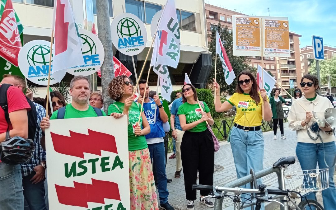 USTEA denuncia ante el Defensor del Pueblo “trato desigual” de la delegación de Educación de la Junta hacia los centros públicos frente a los privados-concertados