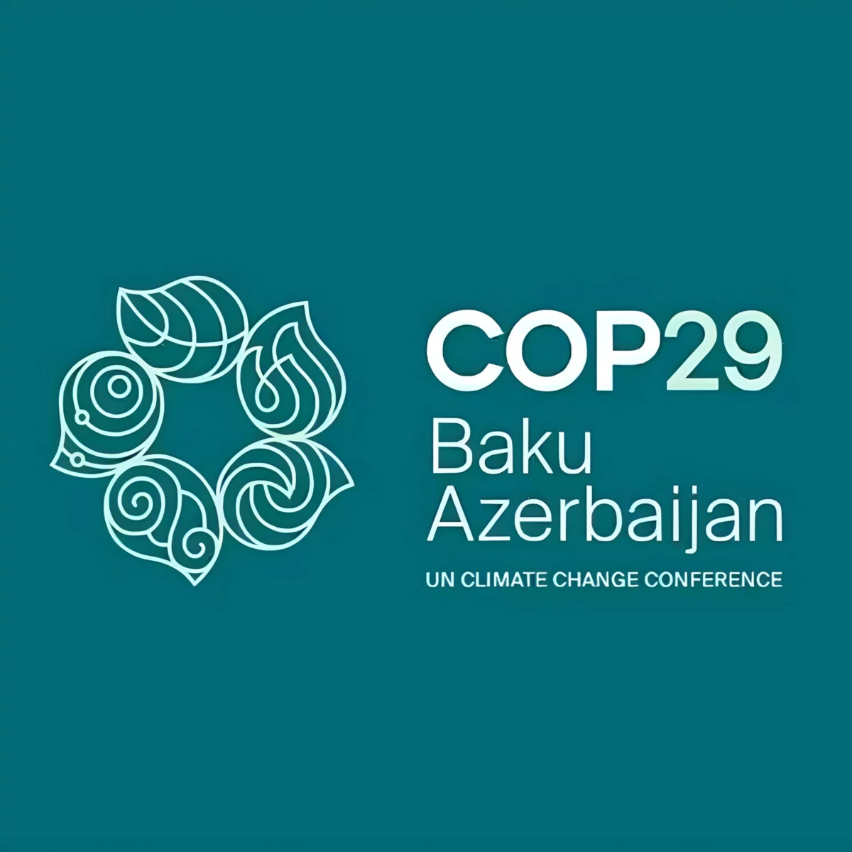 Cop29 Bakú