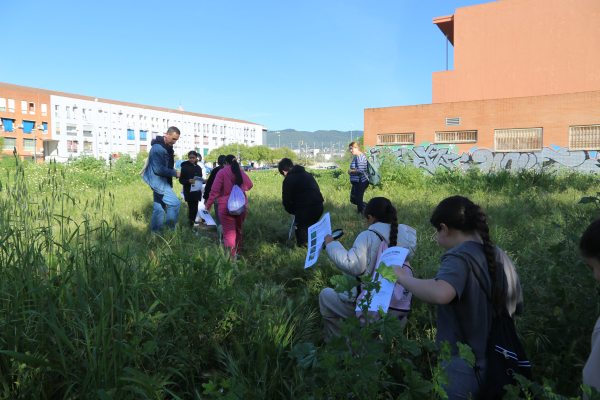 Una treintena de estudiantes identifica plantas de un descampado del barrio de Las Margaritas