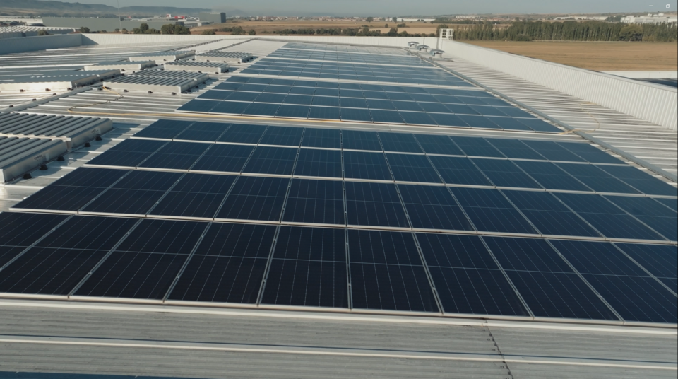 Ecologistas en Acción apoya las reivindicaciones de los olivareros expropiados para la instalación de plantas fotovoltaicas