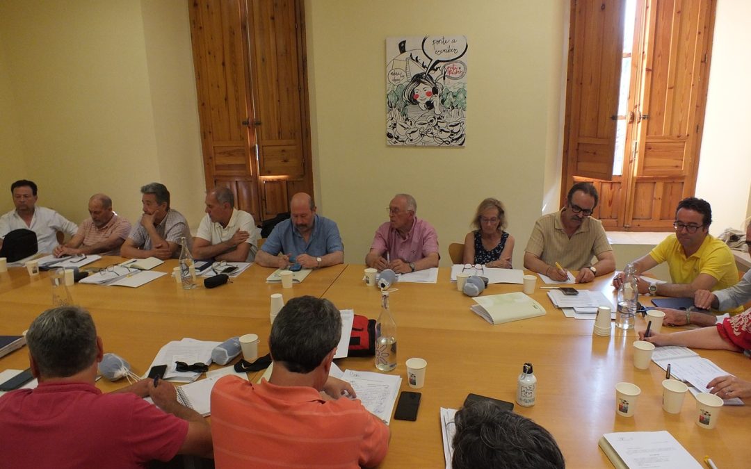 El CMC defiende un plan de emergencia en el que lo primero sean las personas