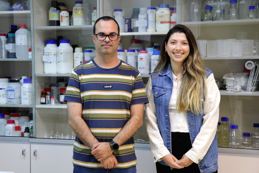 Extractos de hoja de algarrobo y cáscara de granada podrían ayudar a reducir la incidencia de la «aceituna jabonosa»