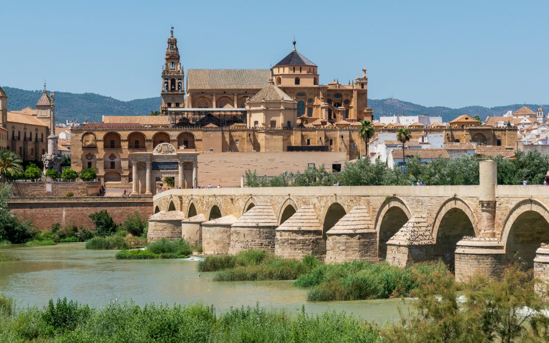 El Consejo de Distrito Centro reclama contención, regulación y ordenación de los eventos en el Casco Histórico