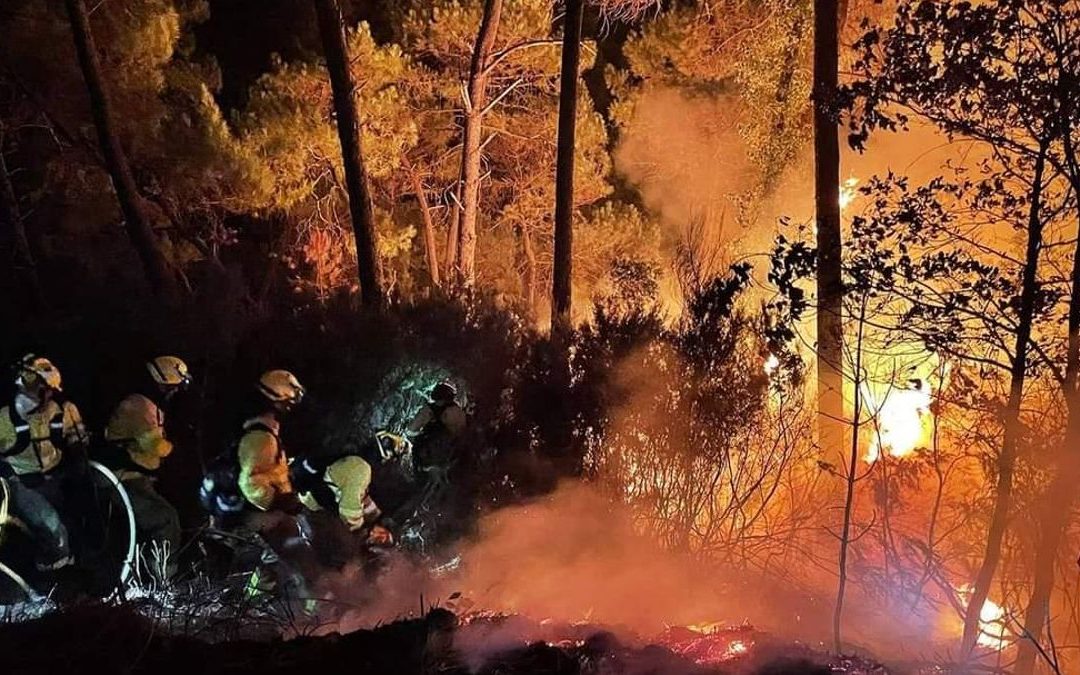 Ecologistas en Acción Andalucía apoya la Marcha del 18 de octubre de las bomberas y bomberos forestales por empleos dignos y una gestión forestal pública y eficaz