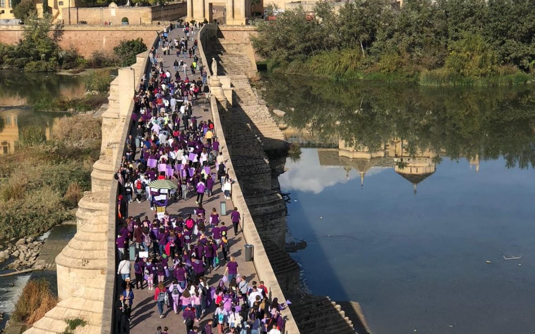 Tejer redes. La compasión como expresión de empatía activa