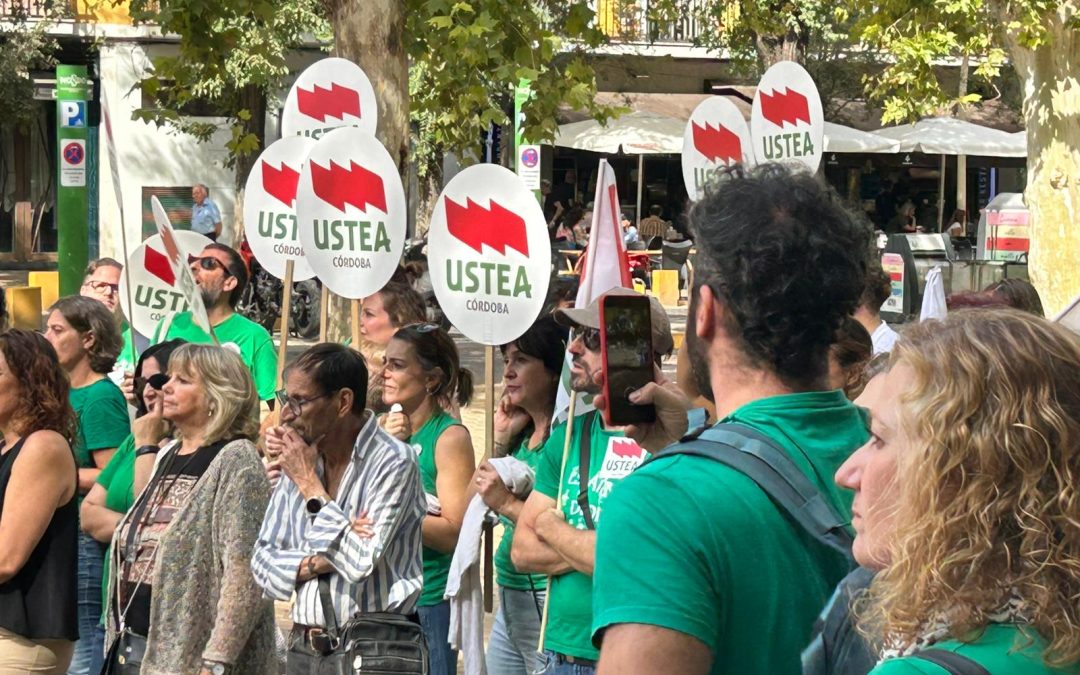 USTEA denuncia que el acuerdo educativo publicado por la Junta de Andalucía no aporta mejoras reales para el profesorado