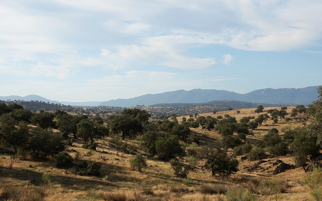 Arranca la exposición «Tierra y Agua»